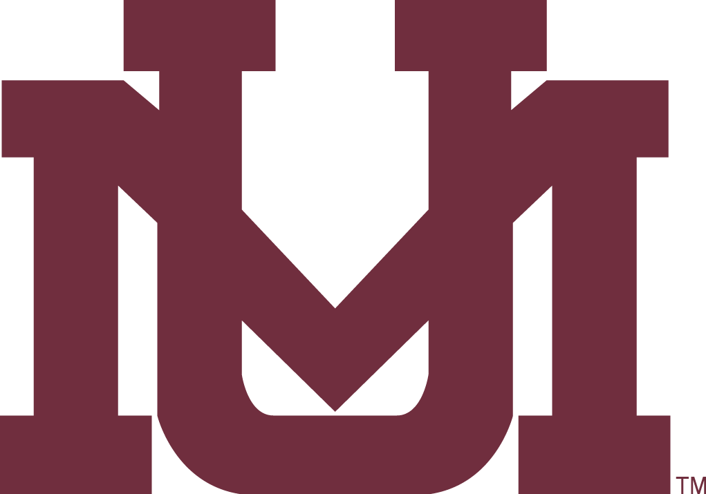 Montana Grizzlies 1996-Pres Secondary Logo v3 diy iron on heat transfer